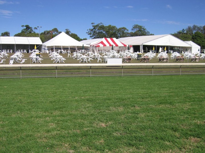 sunshine turf club image