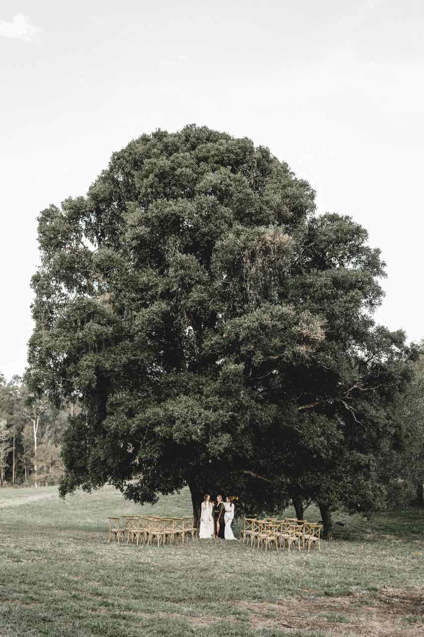 wedding ceremony - cross back chairs